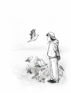 A Little Boy and Pigeons